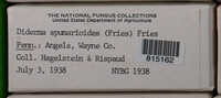 Image Associated With the Occurence